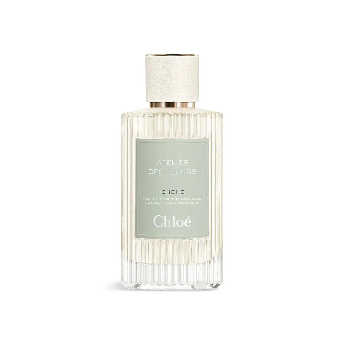 Chloe Unisex Atelier Des Fleurs Chene Edp Spray 5.0 oz Fragrances 3616304493805