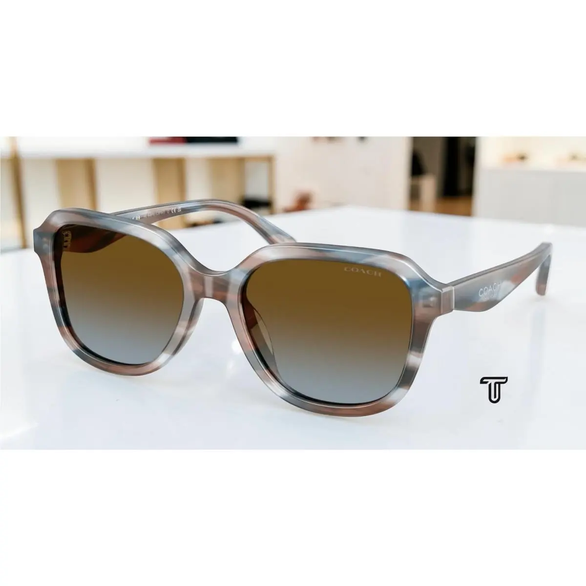 Coach HC8437U 589913 Cby87 Maple Blueberry Brown Blue 53 mm Women`s Sunglasses