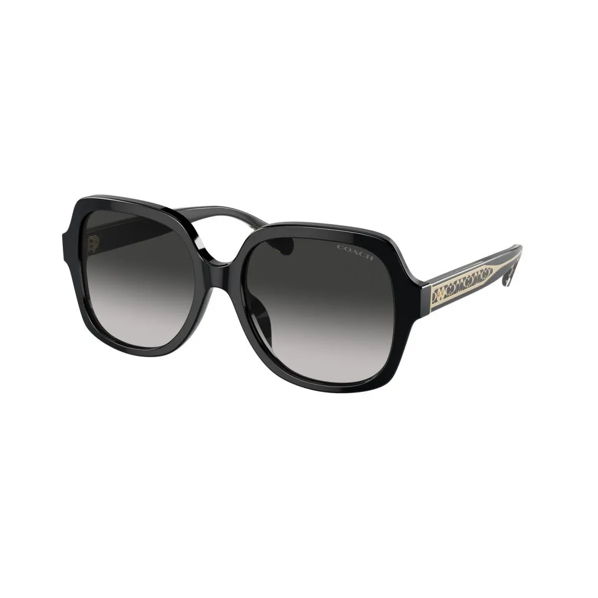 HC 8395F cr962 Black Grey Gradient 50023C Sunglasses by Coach