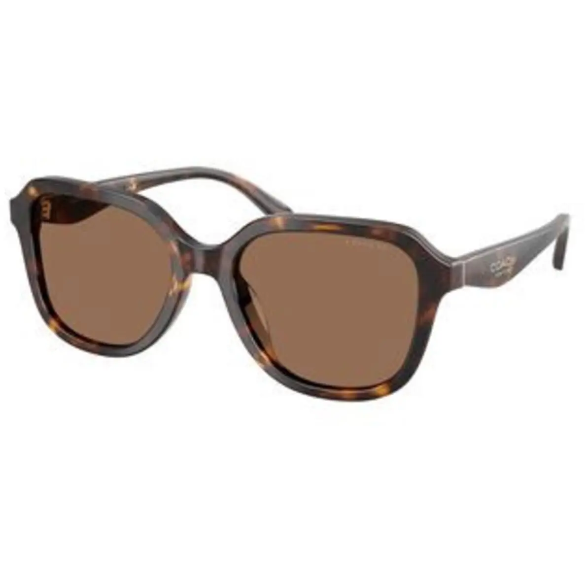 HC 8437 F Dark Tortoise Brown Solid Polyamide Standard 512073 Sunglasses by Coach