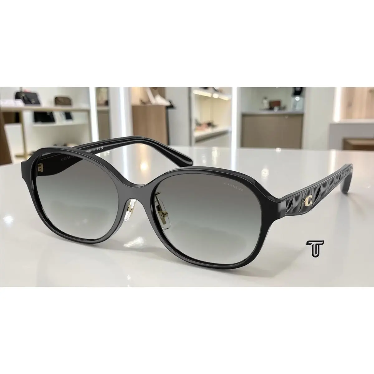Coach HC8445D 500211 Cby85 Black Grey Gradient 56 mm Women`s Sunglasses