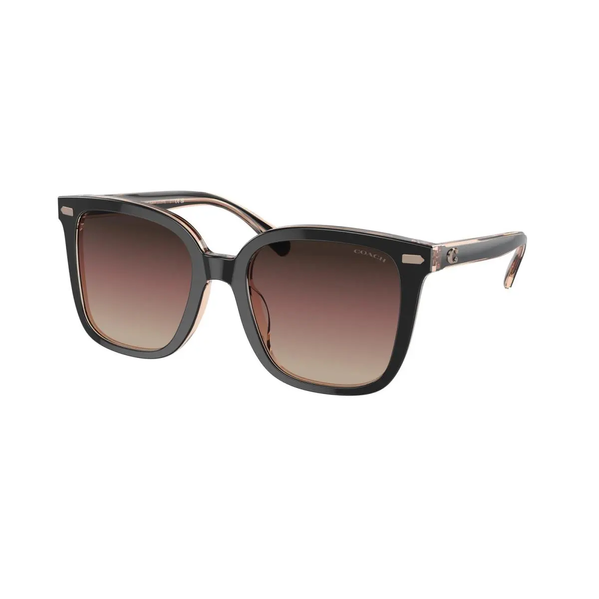 Coach HC 8381F cl919 Black Transparent Blus 5781E2 Sunglasses