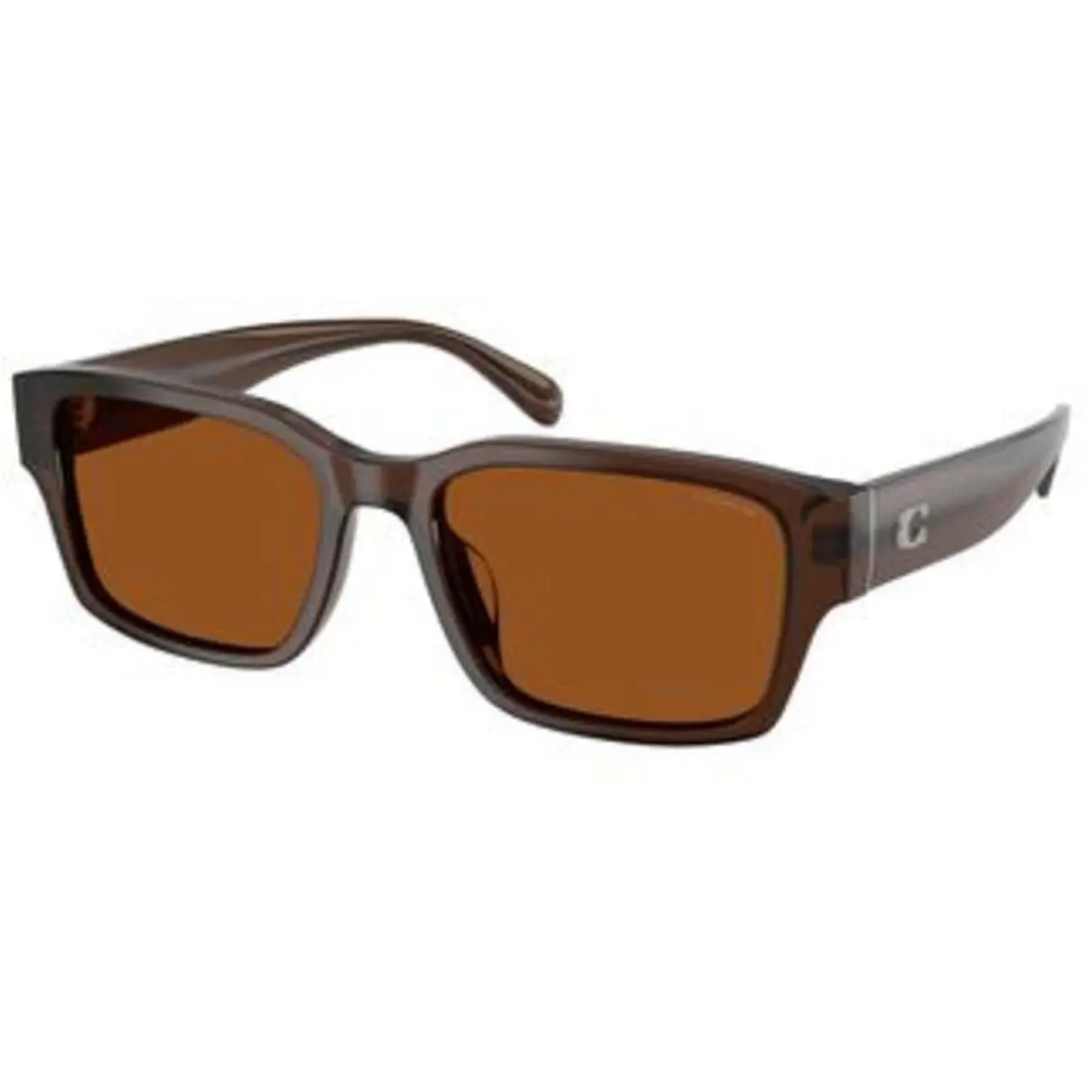 Coach HC 8441 U Transparent Brown Brown Solid Polyamide Standard 591173 Sunglas