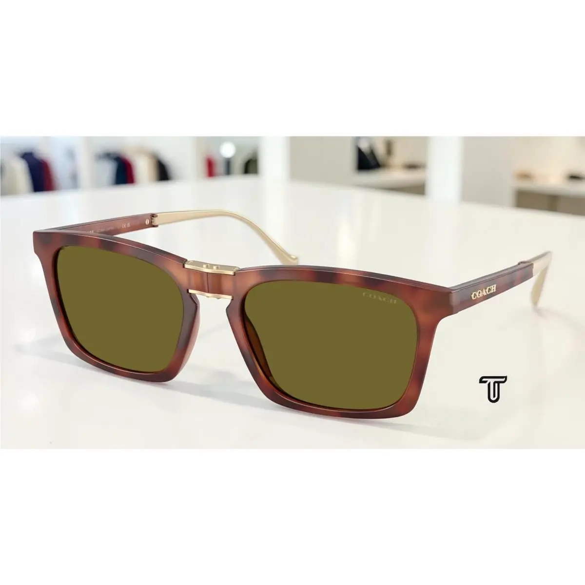 Coach HC8455 5774 2 Cdp54 Caramel Tortoise Green Solid 56 mm Men`s Sunglasses