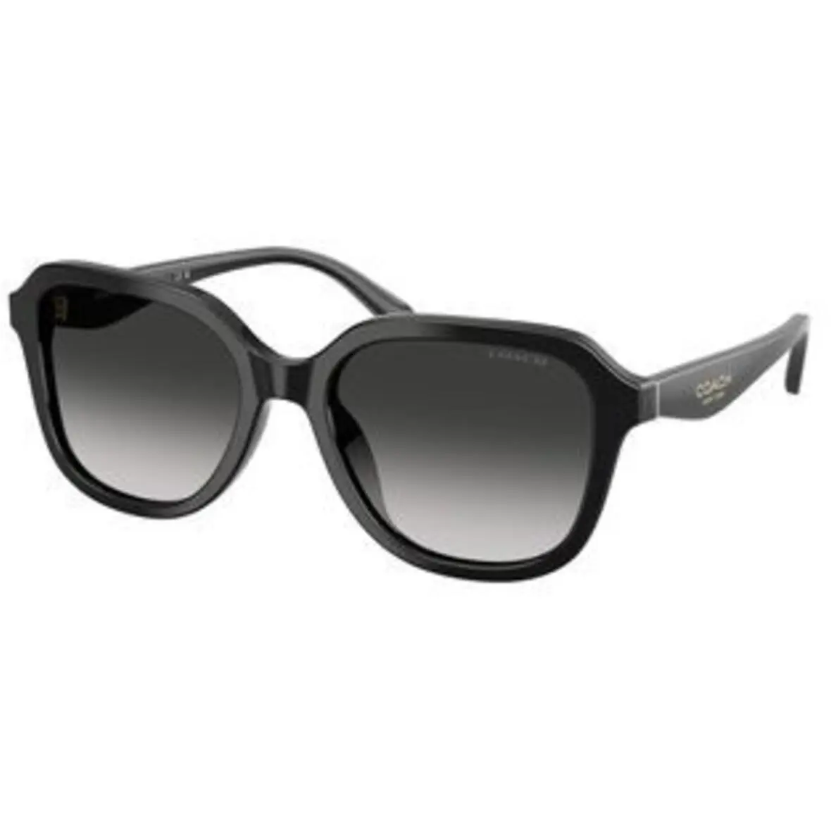 Coach HC 8437 F Black Grey Gradient Polyamide Standard 50023C Sunglasses