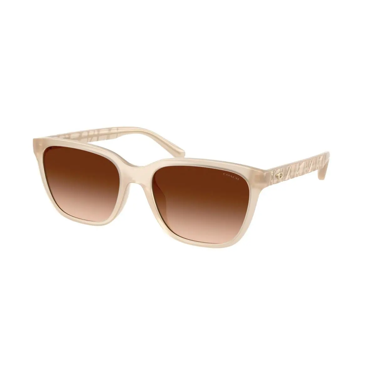 Coach HC 8429 D Milky Coconut Brown Gradient Polyamide Standard 588374 Sunglass