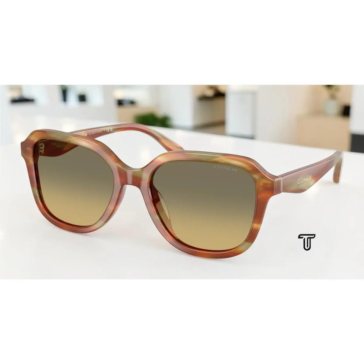 Coach HC8437U 5898L0 Cby87 Striated Bark Moss Green Grey 53mm Women`s Sunglasses