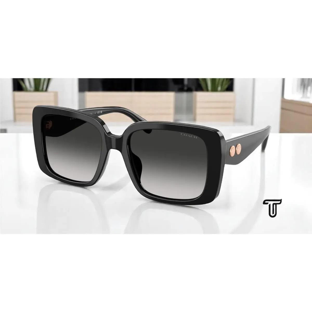 Coach HC8424U 50023C Cad54 Black Grey Gradient 54 mm Women`s Sunglasses