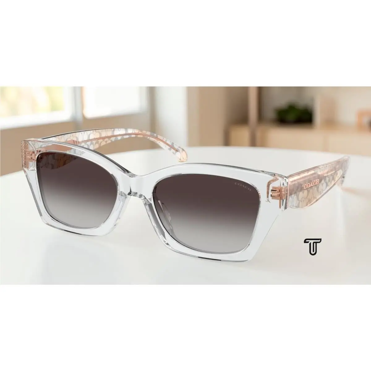 Coach HC8451U 59358G Cdp49 Transparent Grey Grey Gradient 54mm Womens Sunglasses