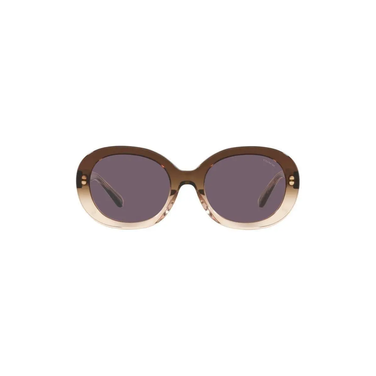 Women 52mm Oval Sunglasses Brown Gradient by Coach