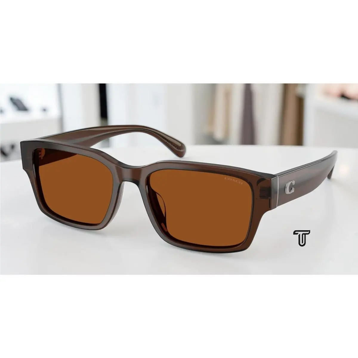 Coach HC8441U 591173 Cby96 Transparent Brown Brown Solid 55 mm Men`s Sunglasses