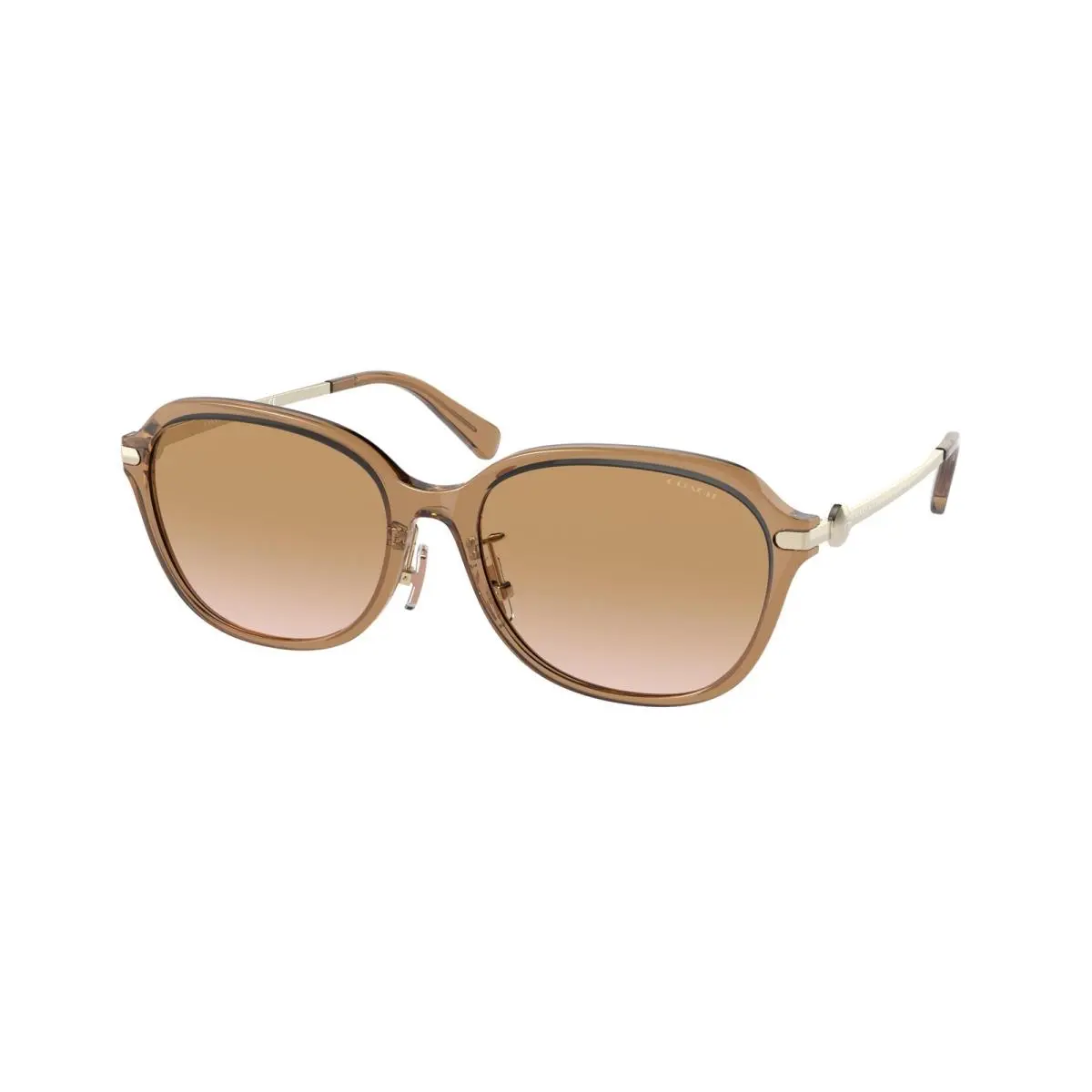 Coach 8332D C6199 Sunglasses 565413 Brown