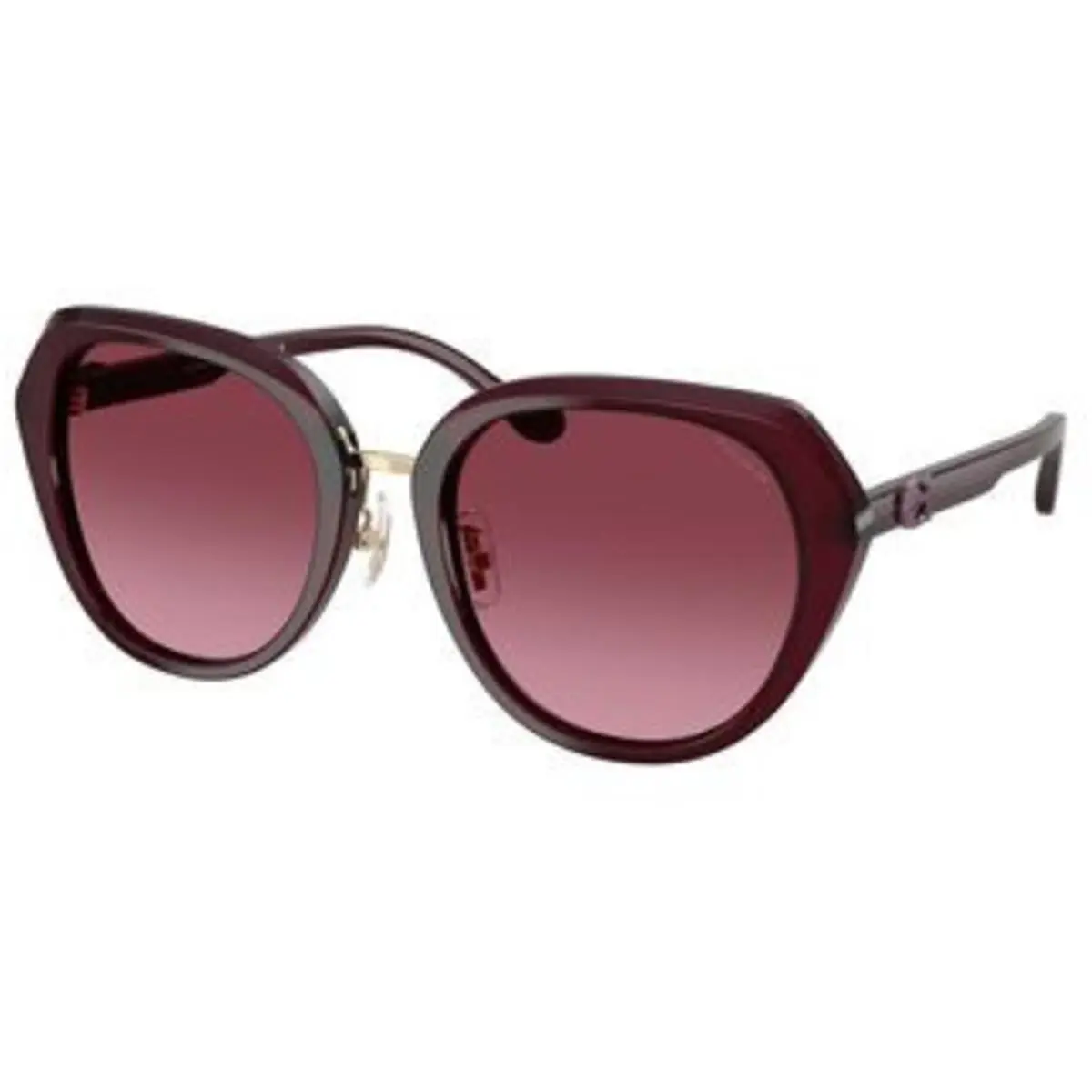 HC 8436 Milky Merlot Merlot Gradient Polyamide Standard 59158H Sunglasses by Coach