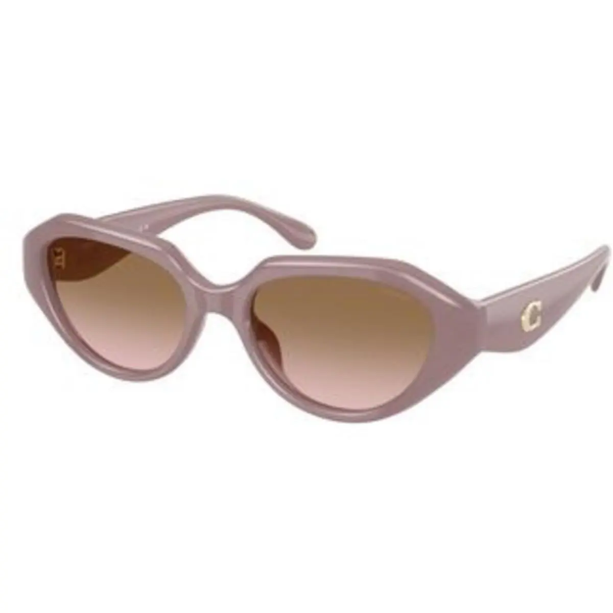 Coach HC 8433 U Milky Putty Brown Peach Gradient Polyamide Standard 549511 Sung