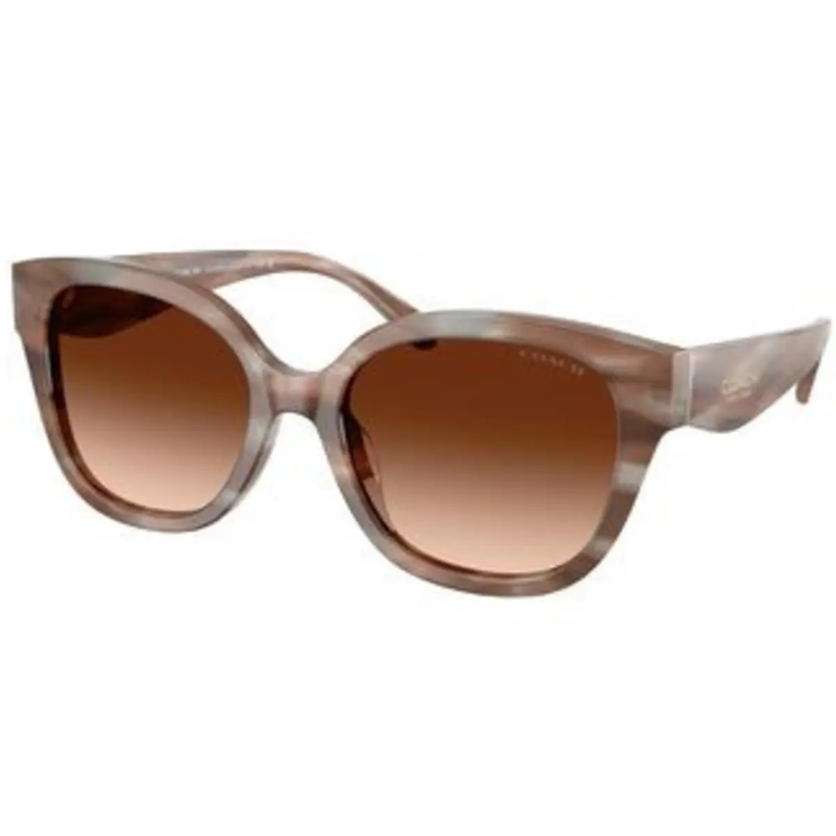HC 8438 U Striated Redwood Maple Brown Gradient Polyamide Standard 590174 by Coach
