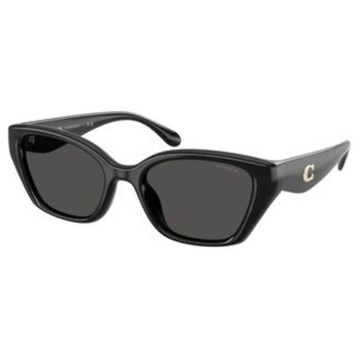 Coach HC 8434 U Black Grey Solid Polyamide Standard 500287 Sunglasses