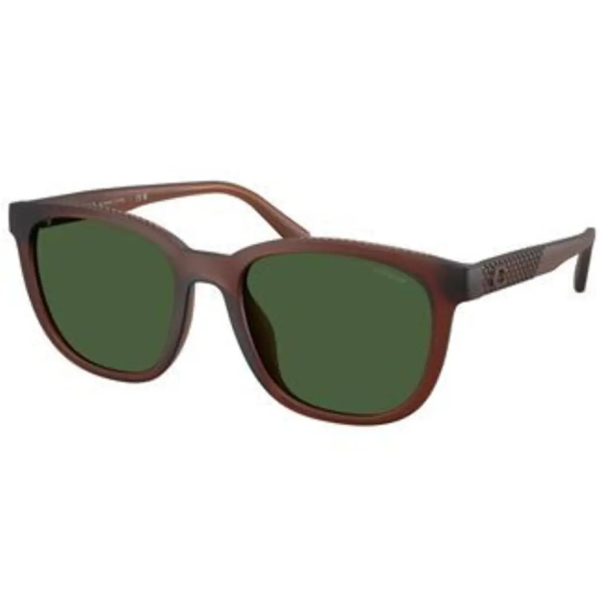 Coach HC 8442 U Matte Transparent Brown Green Solid Polyamide Standard 591171 S