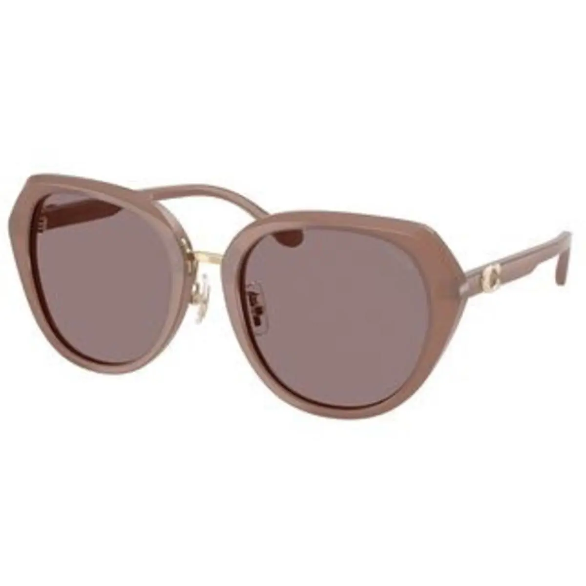 Coach HC 8436 Milky Putty Purple Solid Polyamide Standard 54957N Sunglasses
