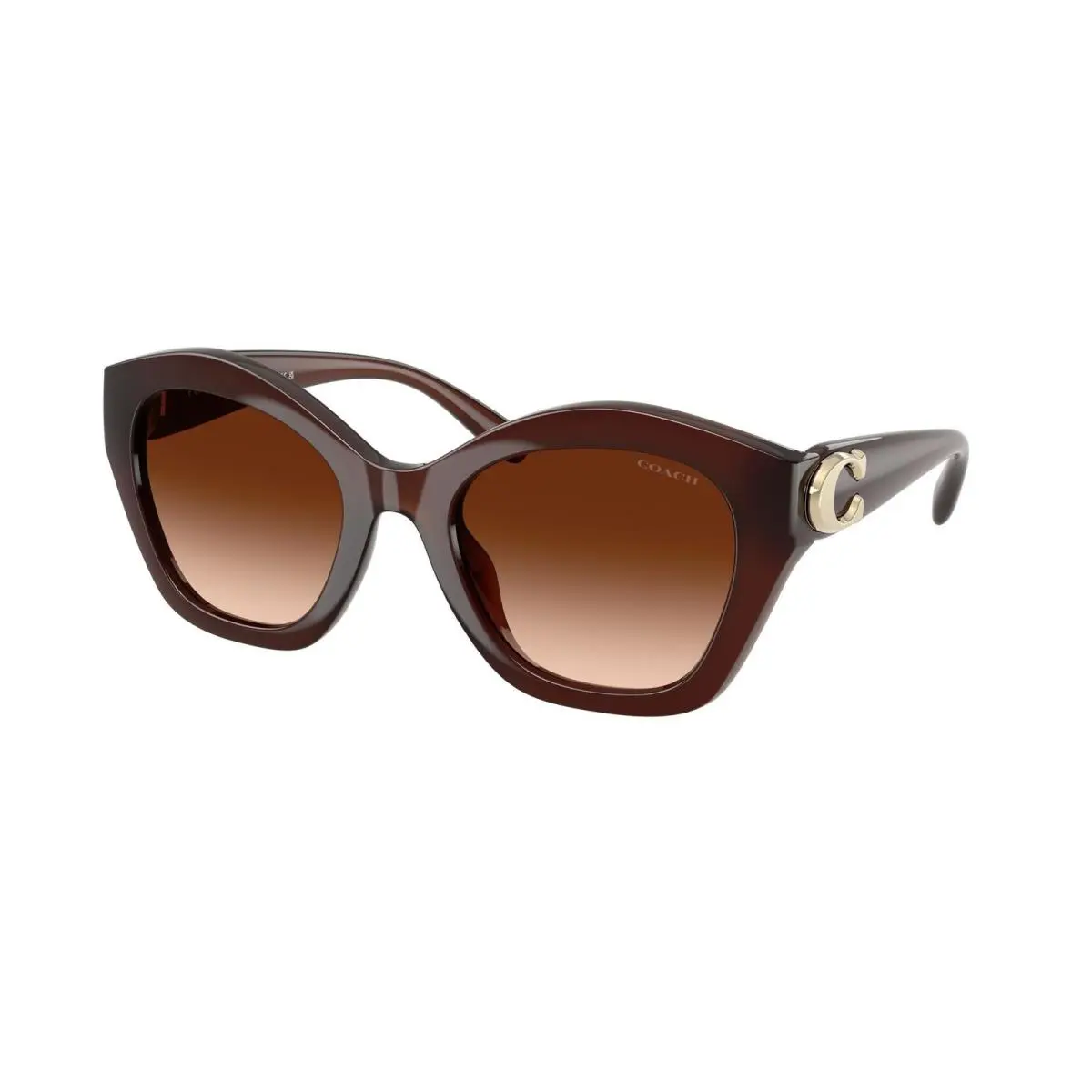 Coach HC 8421 U Milky Hazelnut Brown Gradient Polyamide Standard 584174 Sunglas