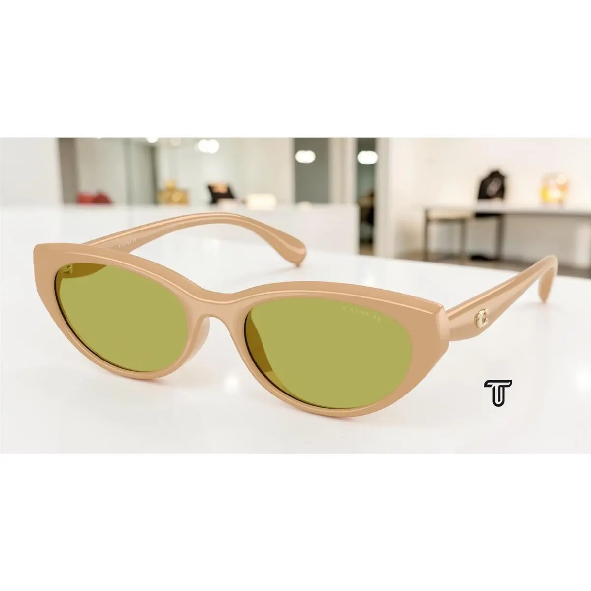 Coach HC8456D 5929 2 Cdp42 Solid Eggshell Pistachio 55 mm Women`s Sunglasses