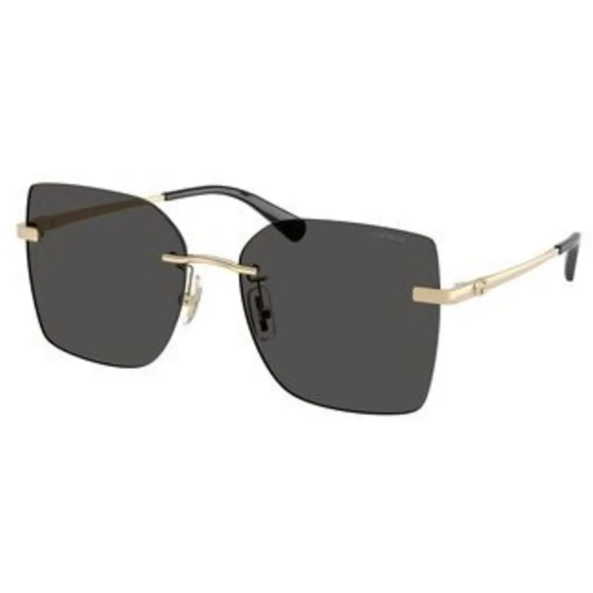 Coach HC 7193 D Shiny Light Gold Grey Solid Polyamide Standard 900587 Sunglasse