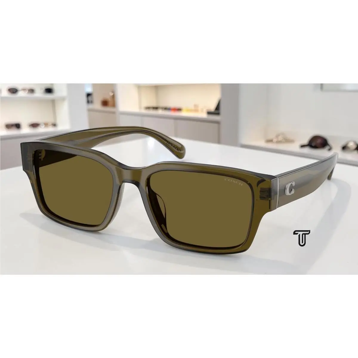 Coach HC8441U 591073 Cby96 Transparent Olive Green Solid 55 mm Men`s Sunglasses