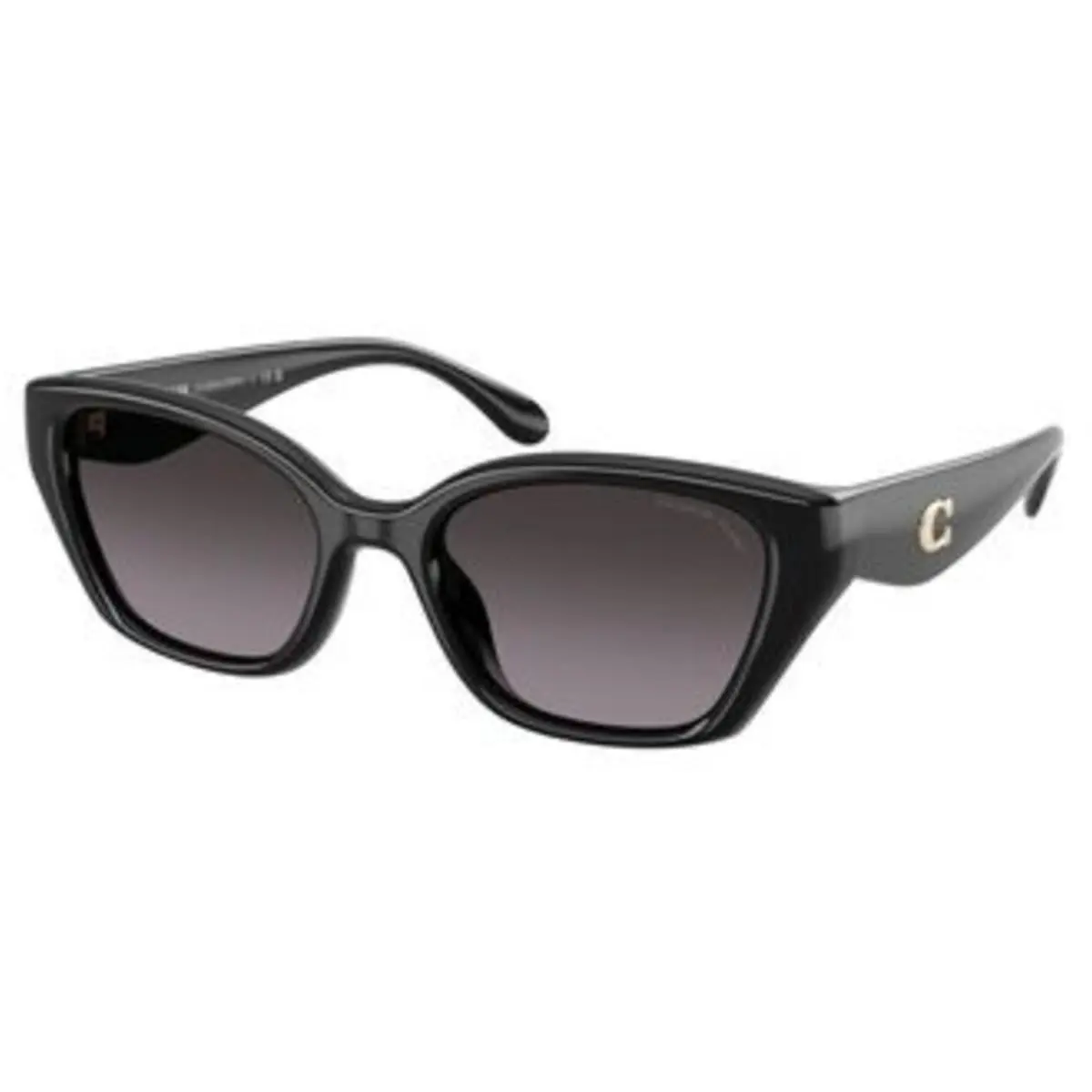 Coach HC 8434 U Black Grey Gradient Polar Policarbonate Polarized 5002F4 Sungla