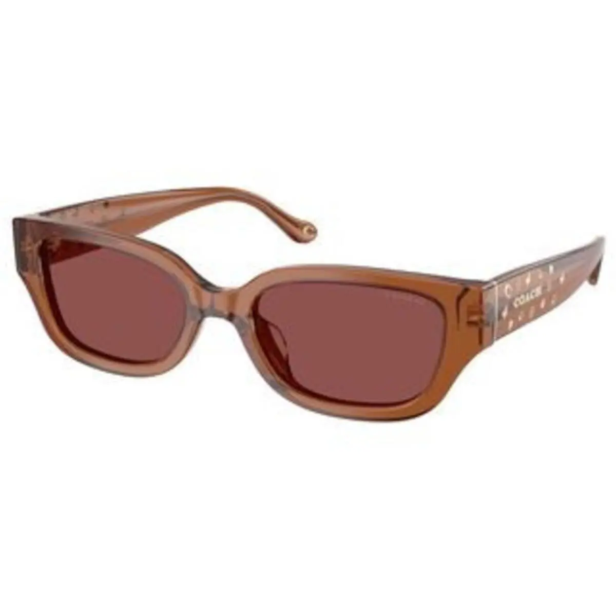 Coach HC 8439 U Transparent Brown Wine Solid Polyamide Standard 581175 Sunglass