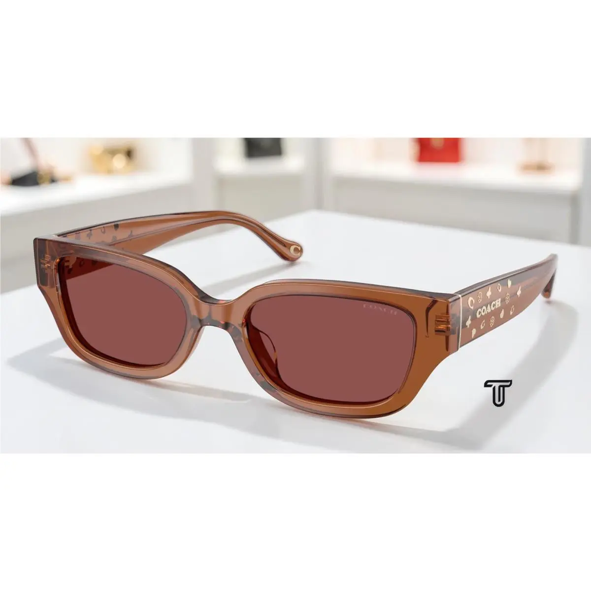 Coach HC8439U 581175 Cbz52 Transparent Brown Wine Solid 53 mm Women`s Sunglasses