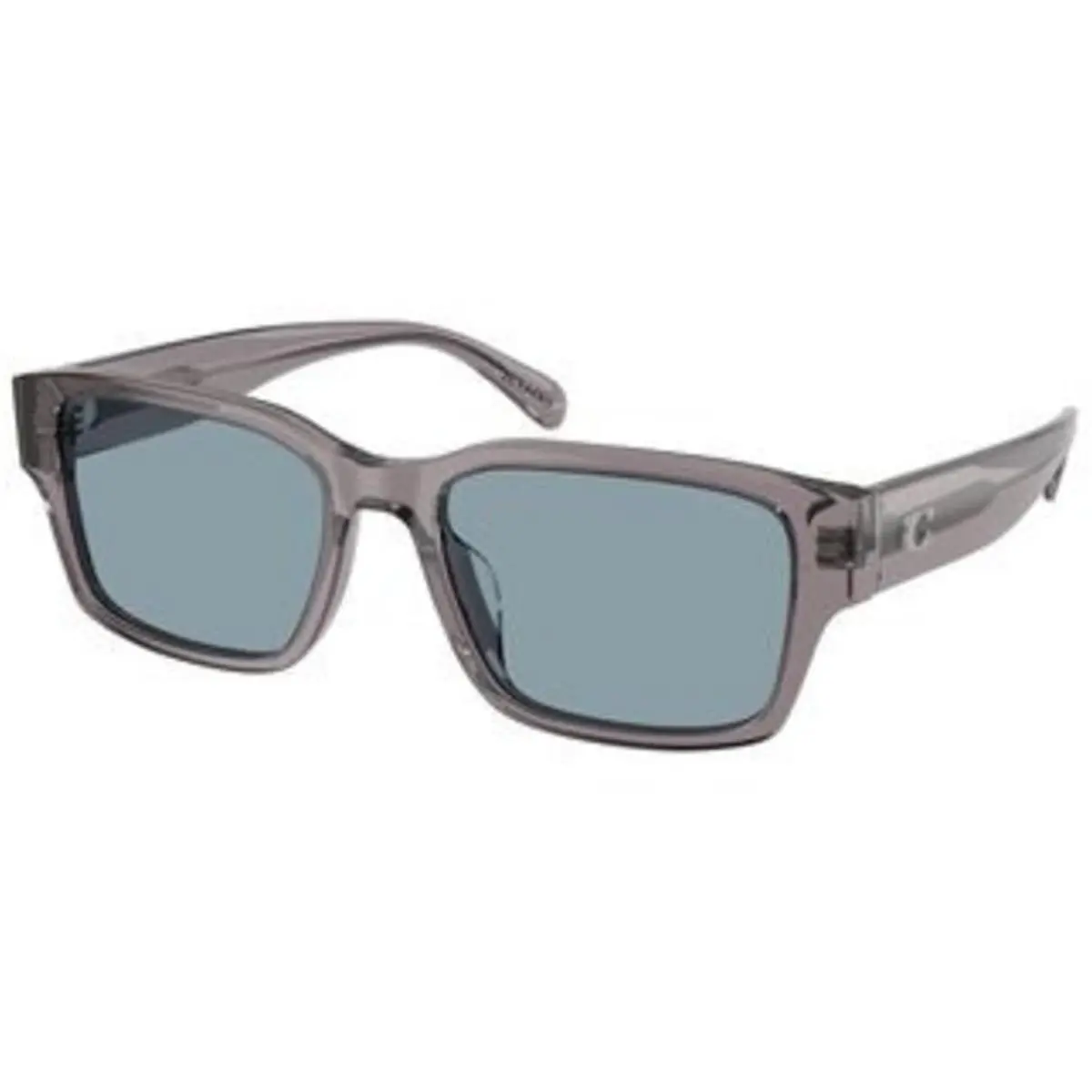 Coach HC 8441 U Transparent Grey Light Blue Solid Polyamide Standard 553772 Sun