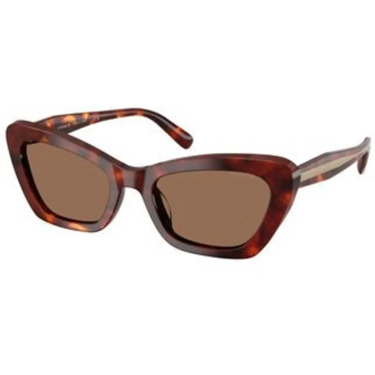 Coach HC 8452 U Walnut Tortoise Brown Solid Polyamide Standard 593873 Sunglasse