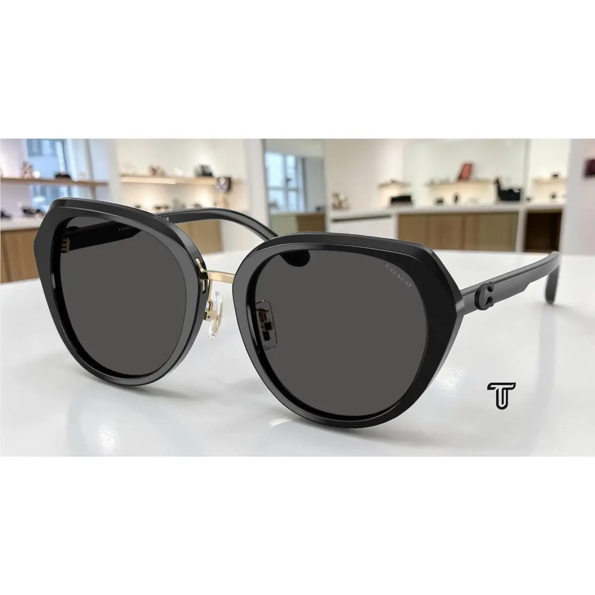 Coach HC8436 500287 Cby93 Black Grey Solid 55 mm Women`s Sunglasses