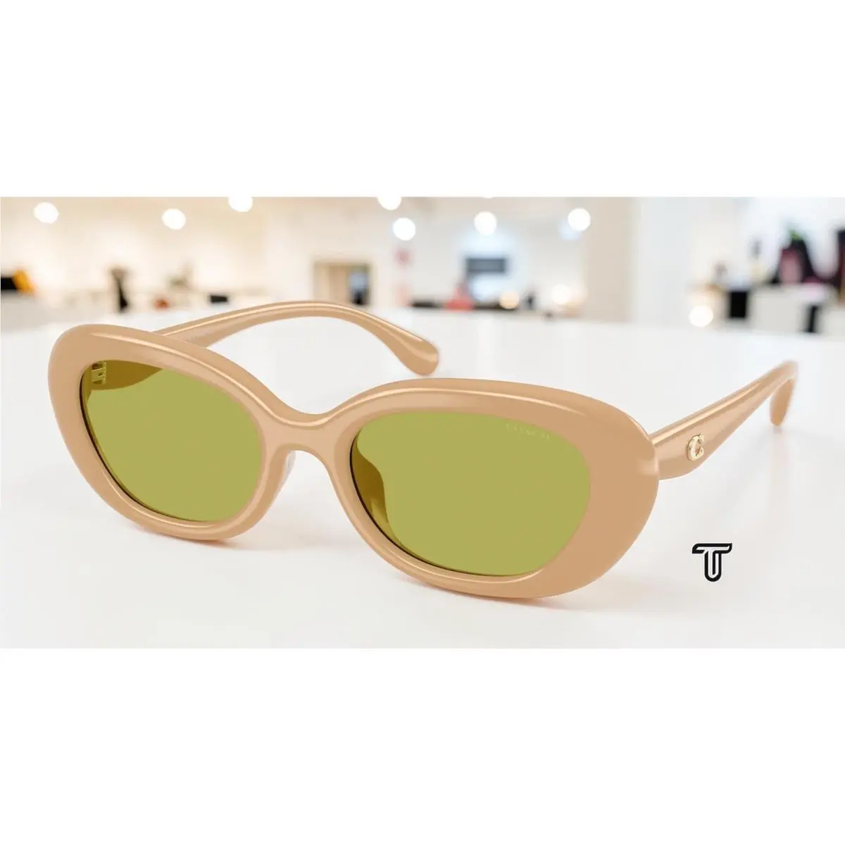 Coach HC8448U 5929 2 Cdp35 Solid Eggshell Pistachio 54 mm Women`s Sunglasses