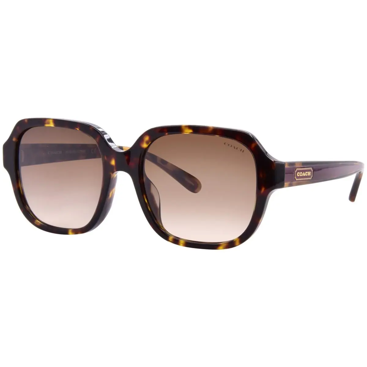 Coach C7989 HC8335U 50027Z Sunglasses Women`s Black/olive Gradient 53mm