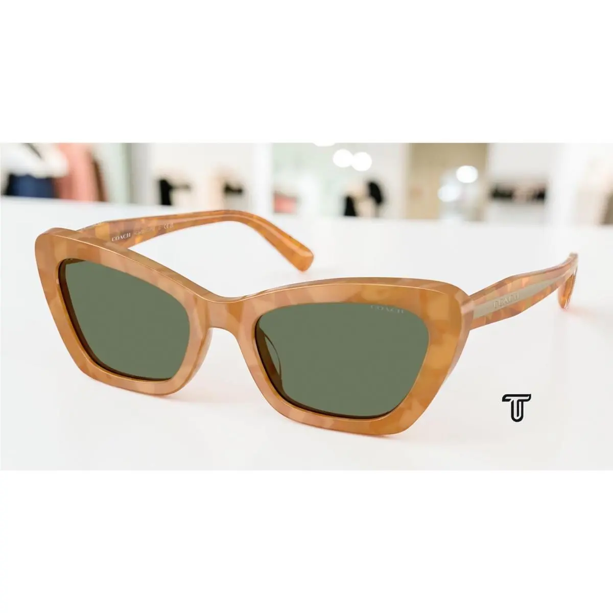 Coach HC8452U 593982 Cdp52 Blonde Tortoise Green Solid 54 mm Women`s Sunglasses