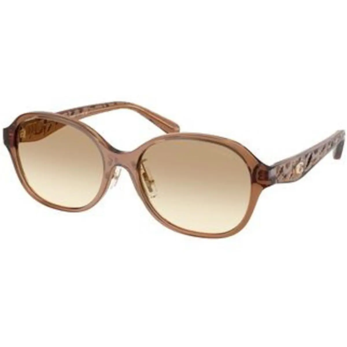 HC 8445 D Transparent Brown Clear Brown Gradient Polyamide Standard 56541 by Coach