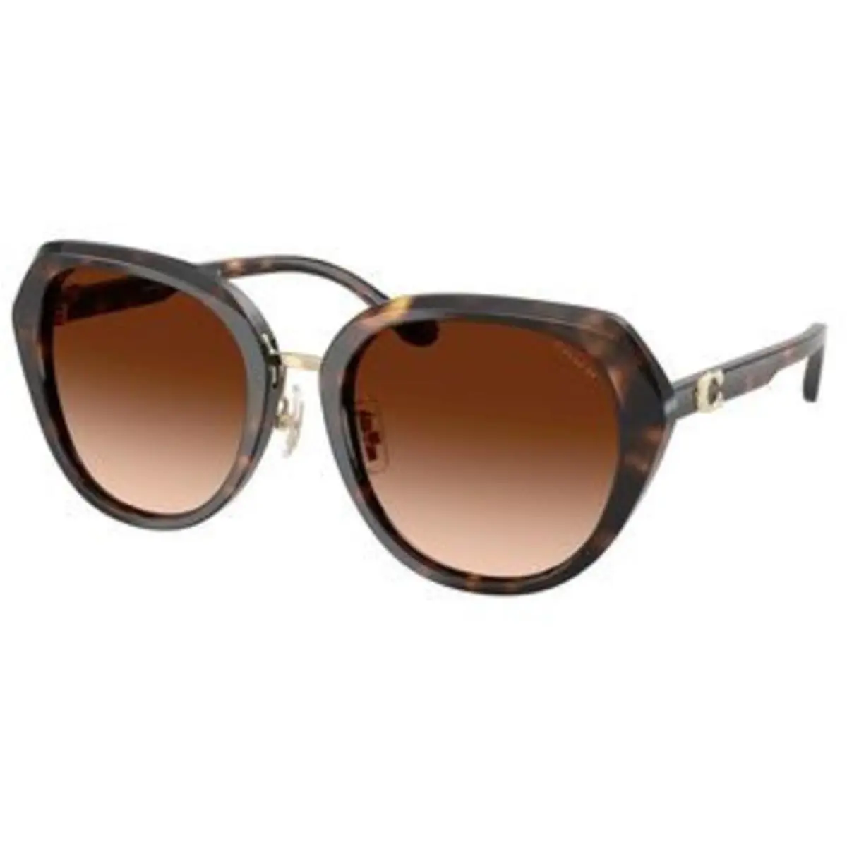 HC 8436 Dark Tortoise Brown Gradient Polyamide Standard 512074 Sunglasses by Coach