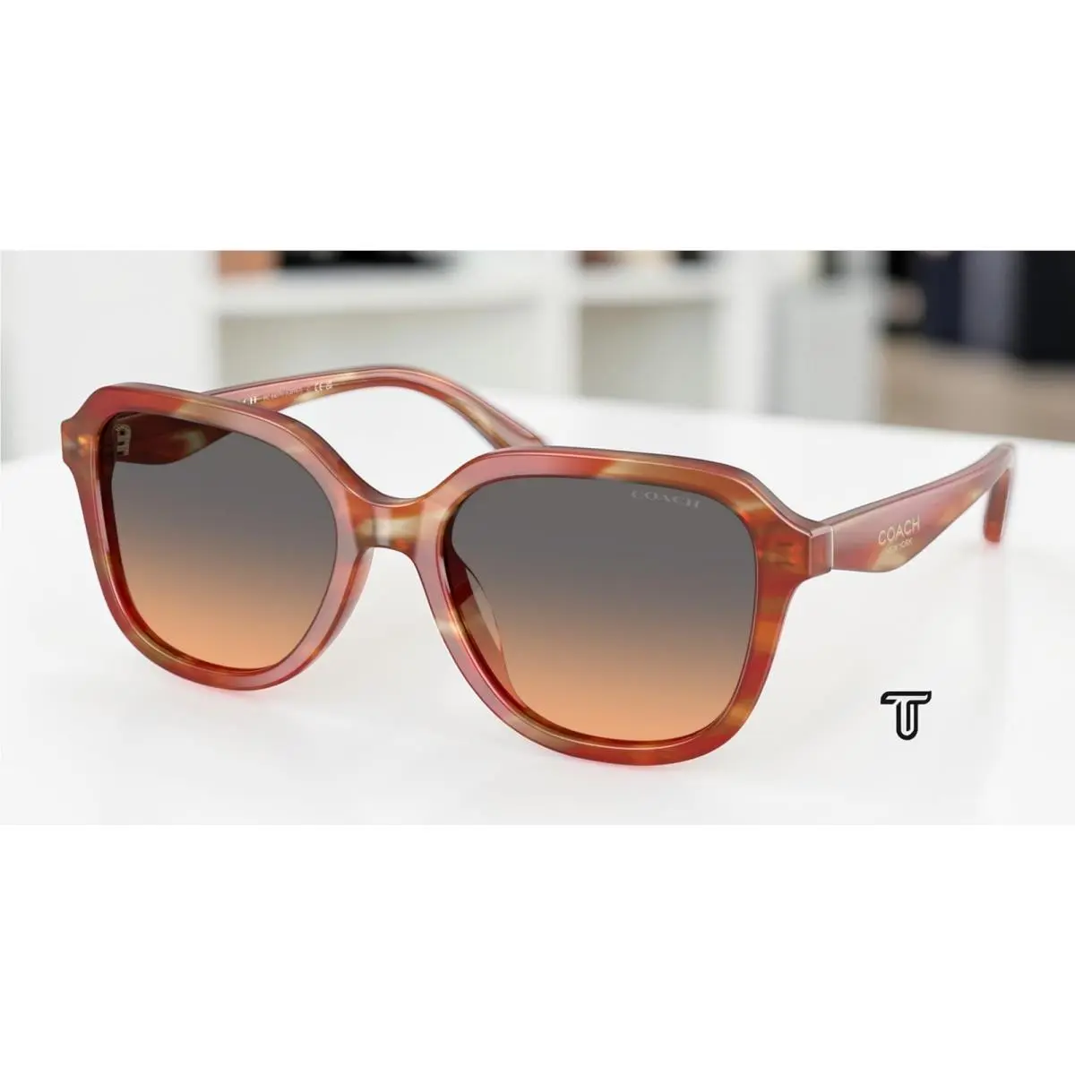 Coach HC8437U 590018 Cby87 Striated Chestnut Smokey Peach 53mm Womens Sunglasses