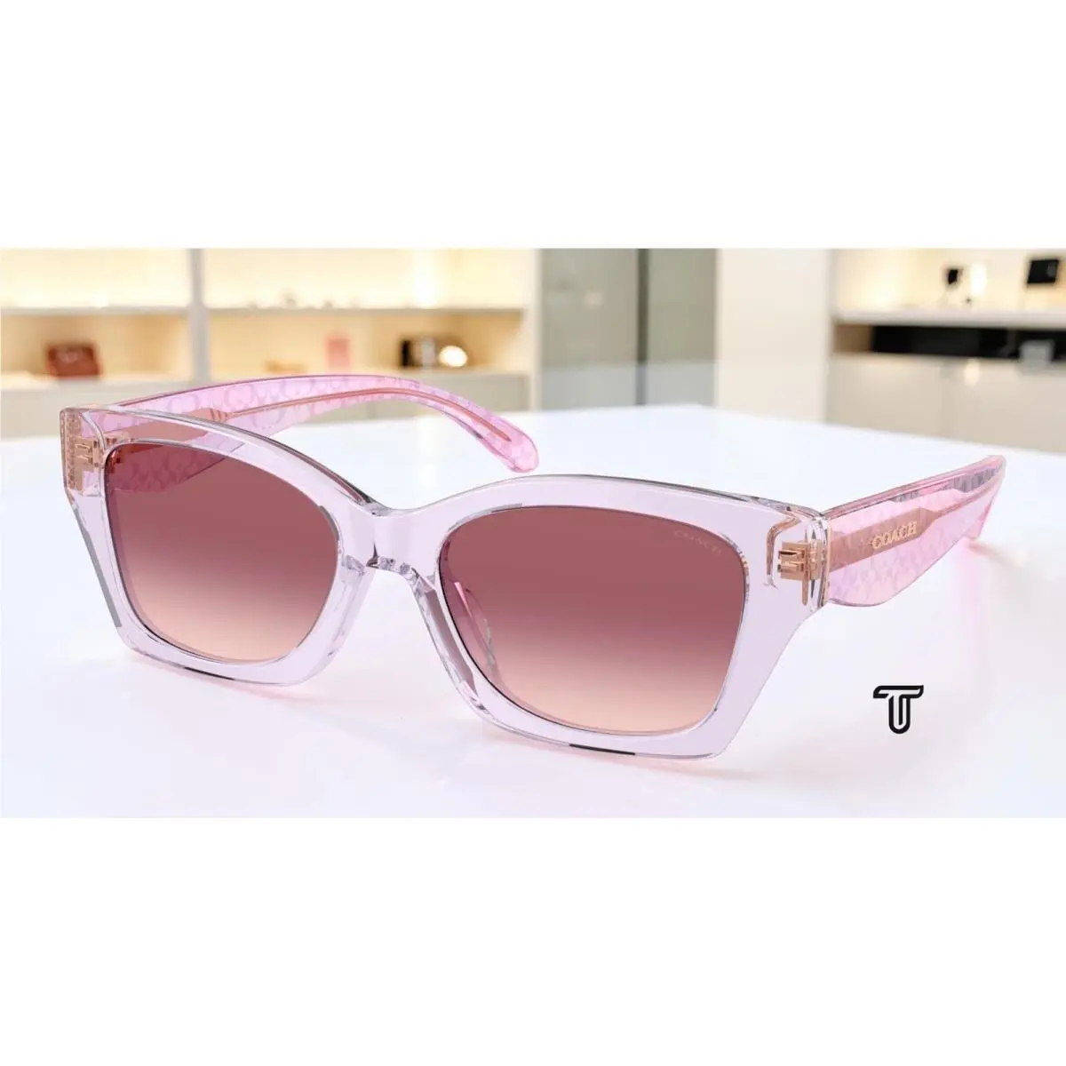 Coach HC8451U 59367W Cdp49 Trans Iris Purple Pink Grad 54 mm Women`s Sunglasses