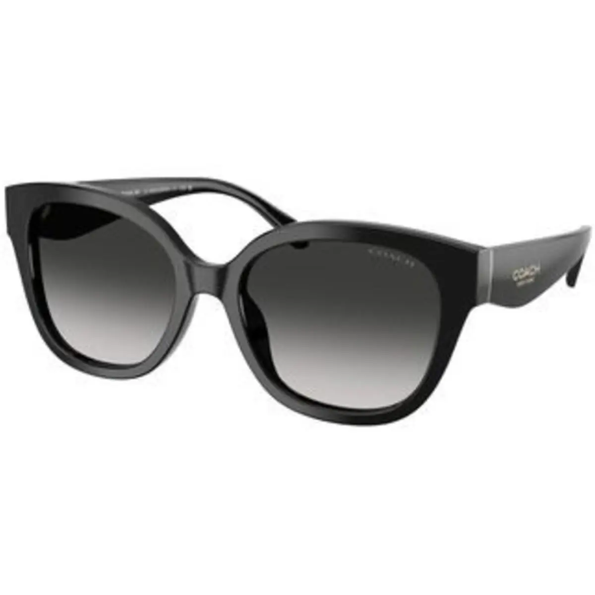 HC 8438 U Black Grey Gradient Polyamide Standard 500287 Sunglasses by Coach