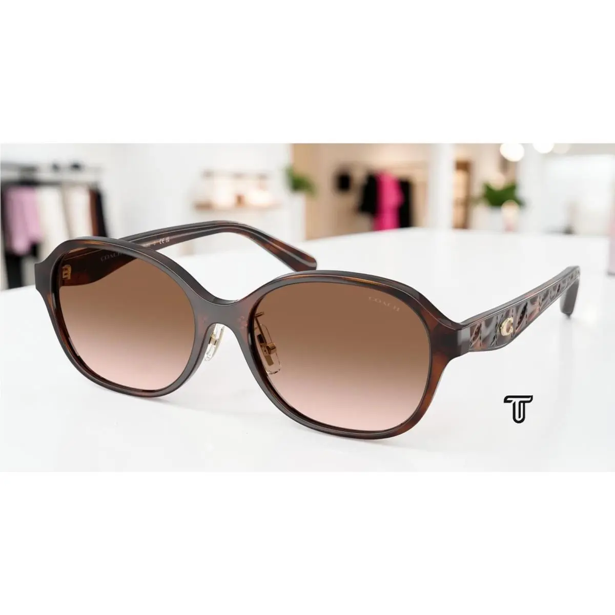 Coach HC8445D 512013 Cby85 Dark Tortoise Brown Gradient 56 mm Women`s Sunglasses