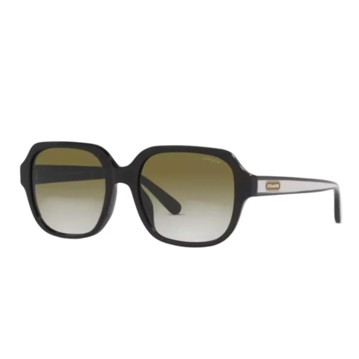 Coach HC 8335U Sunglasses Black White Striped Arms Hard Case Included