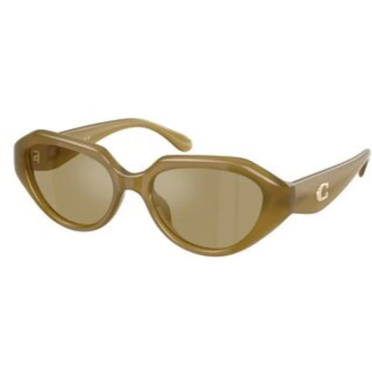 HC 8433 U Milky Wasabi Green Flash Polyamide Standard 590230 Sunglasses by Coach