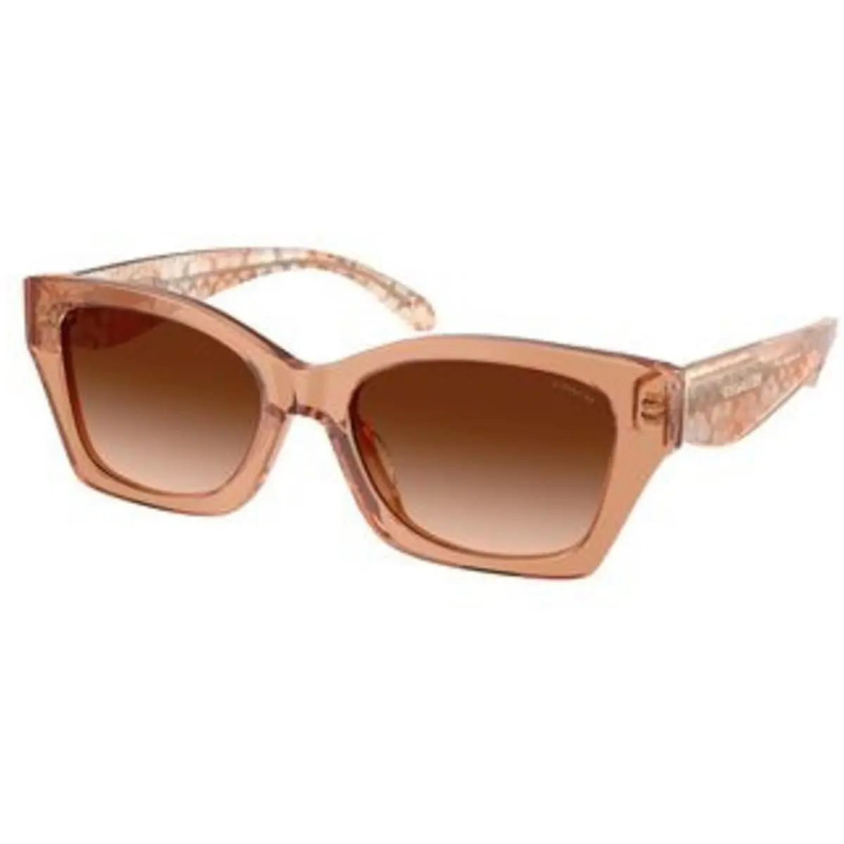 Coach HC 8451 U Transparent Brown Brown Gradient Polyamide Standard 593774 Sung