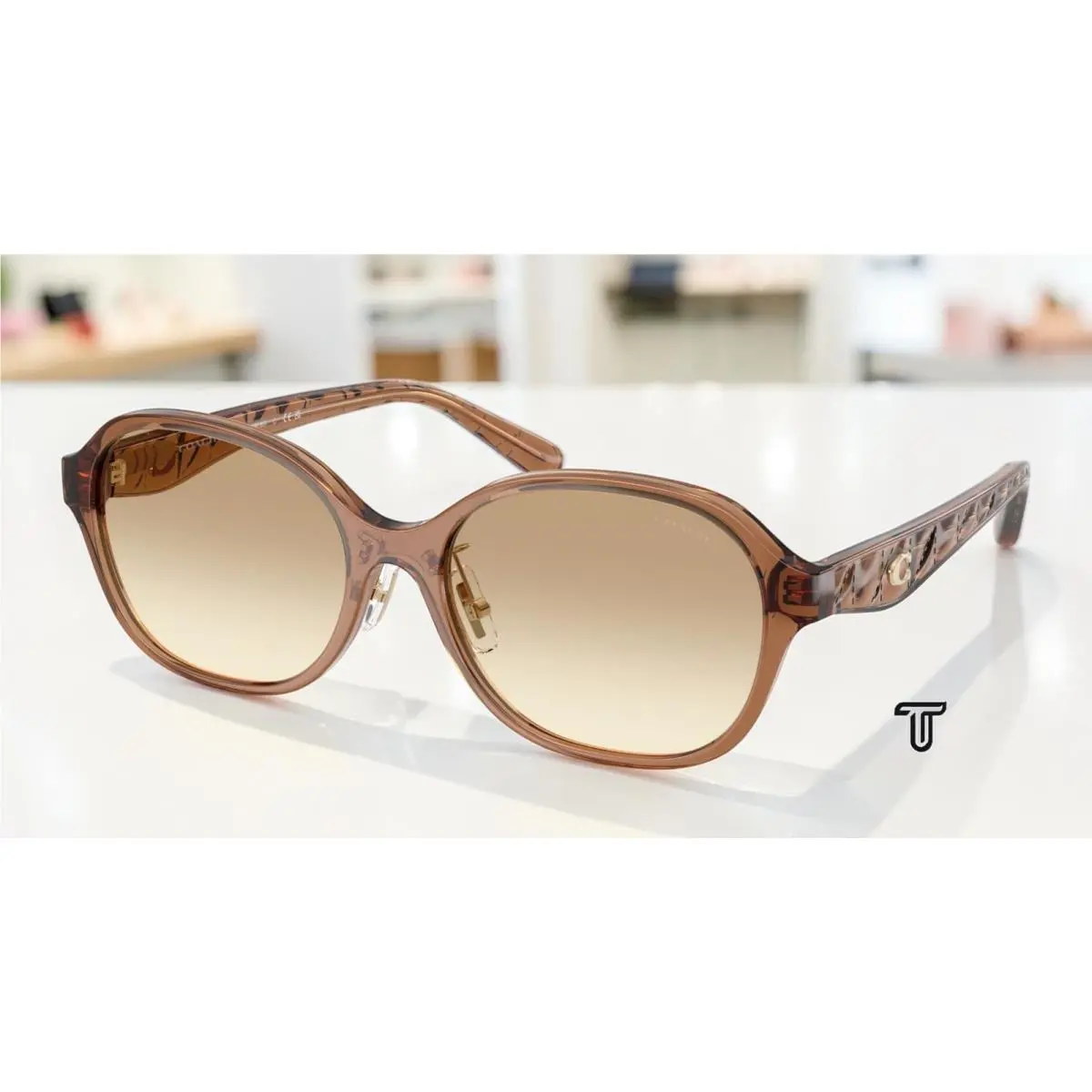 Coach HC8445D 565413 Cby85 Transparent Brown Clear Brown 56mm Women`s Sunglasses