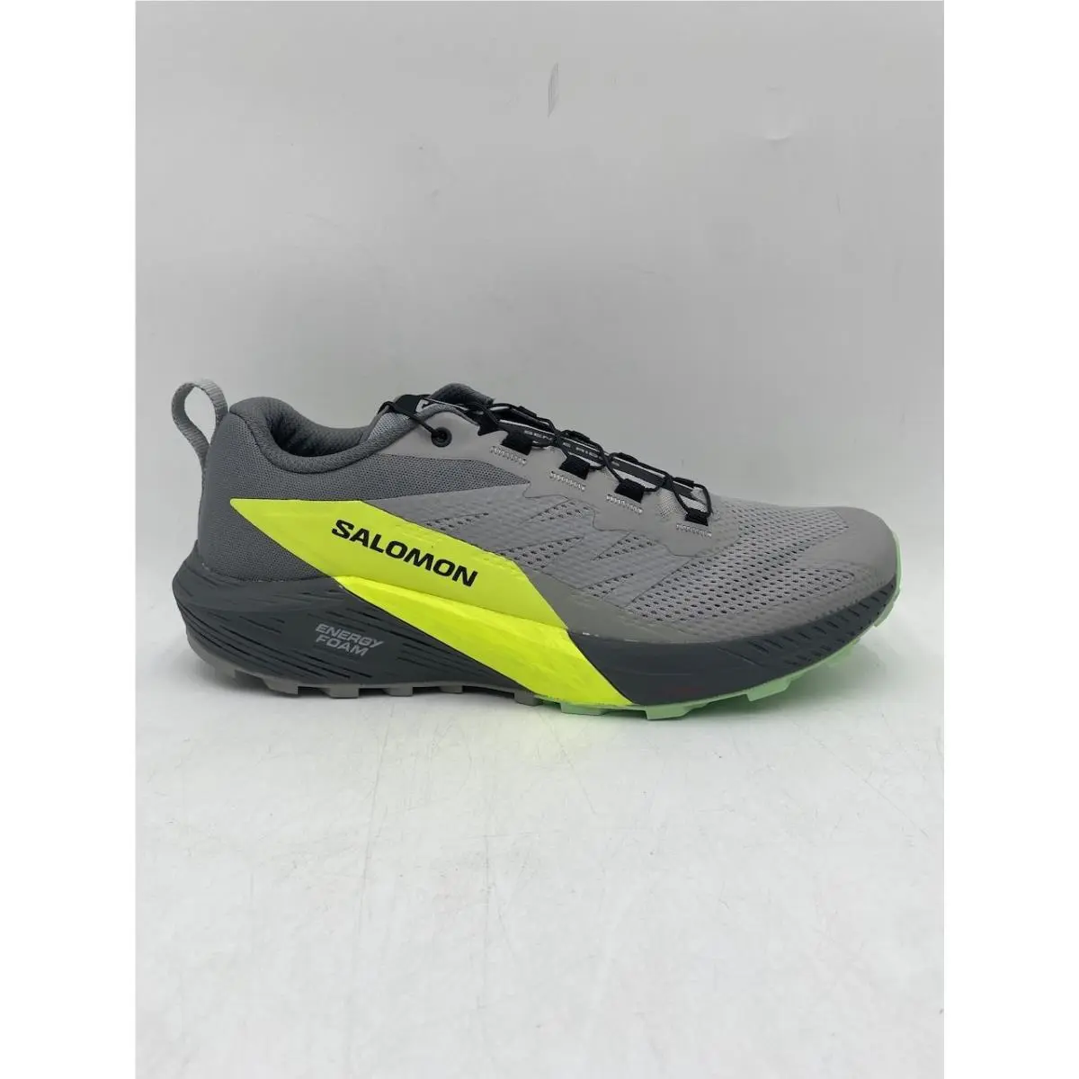 Salomon shoes - Salomon Sense Ride 5 - Sense Ride - Silver 12