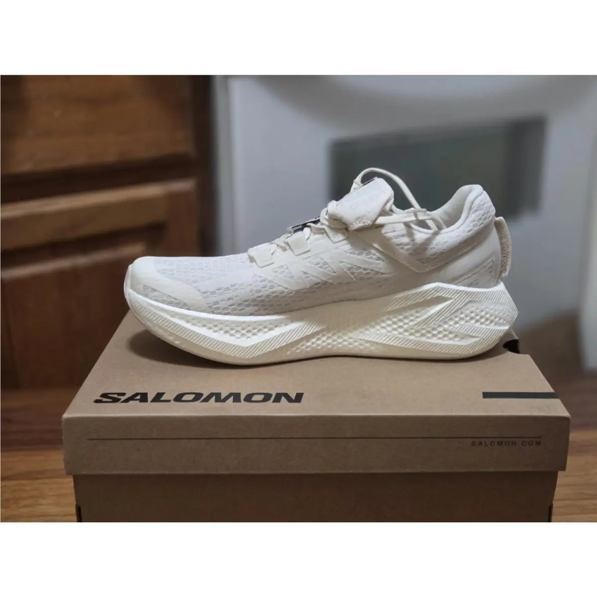 Salomon shoes - Salomon Aero Glide 3 - Aero Glide - Ivory 1