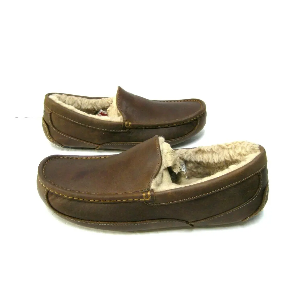 UGG shoes - UGG ASCOT - ASCOT - Tan 1