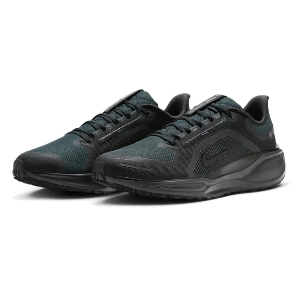 Nike shoes - Nike Pegasus 41 GORE-TEX - Pegasus - Black, Manufacturer: Black/Anthracite/Black 1