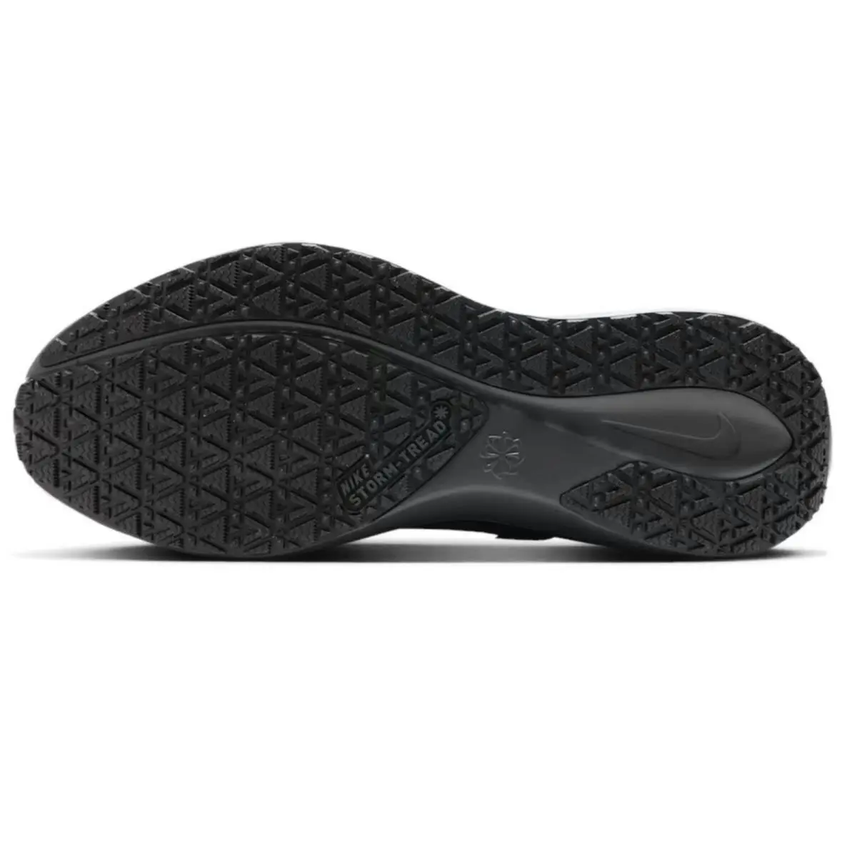 Nike shoes - Nike Pegasus 41 GORE-TEX - Pegasus - Black, Manufacturer: Black/Anthracite/Black 5